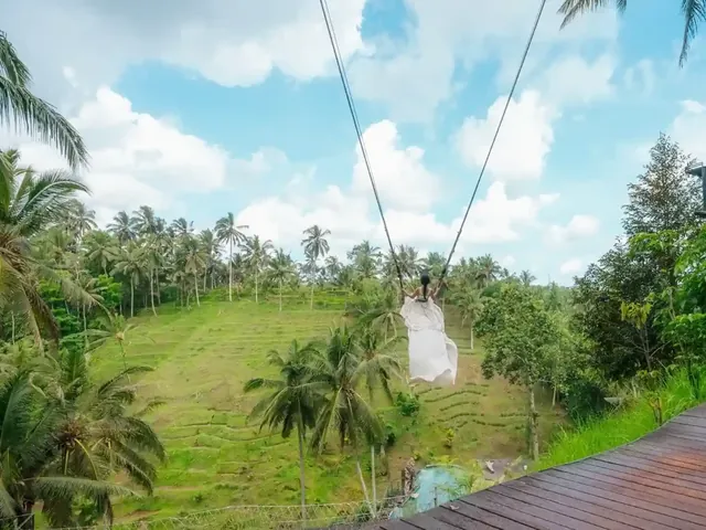 Jungle swing above rice terraces in Bali