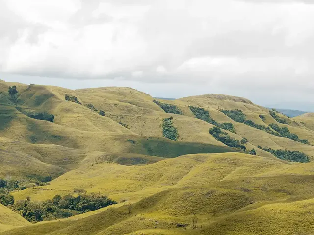 Rolling green hills of Wairinding, Sumba