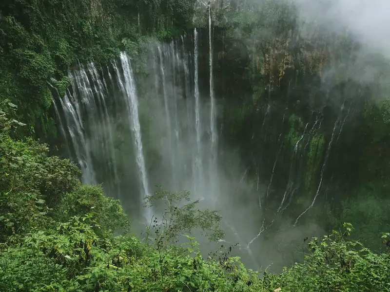 Tumpak Sewu waterfall curtain in green jungle