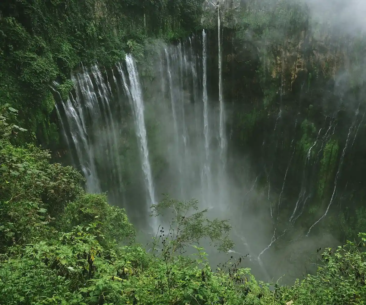 Tumpak Sewu waterfall cascading into a green canyon