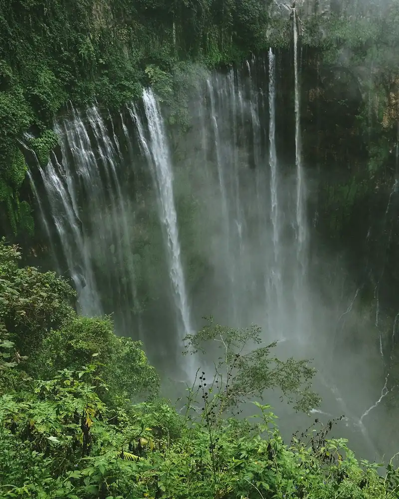 Tumpak Sewu waterfall cascading into a green ravine
